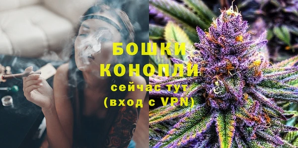 дмт Вяземский