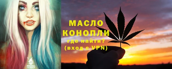 дмт Вяземский