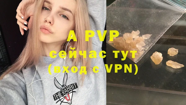 дмт Вяземский