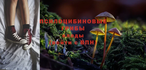 дмт Вязьма