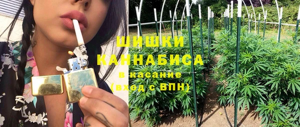 дмт Вяземский